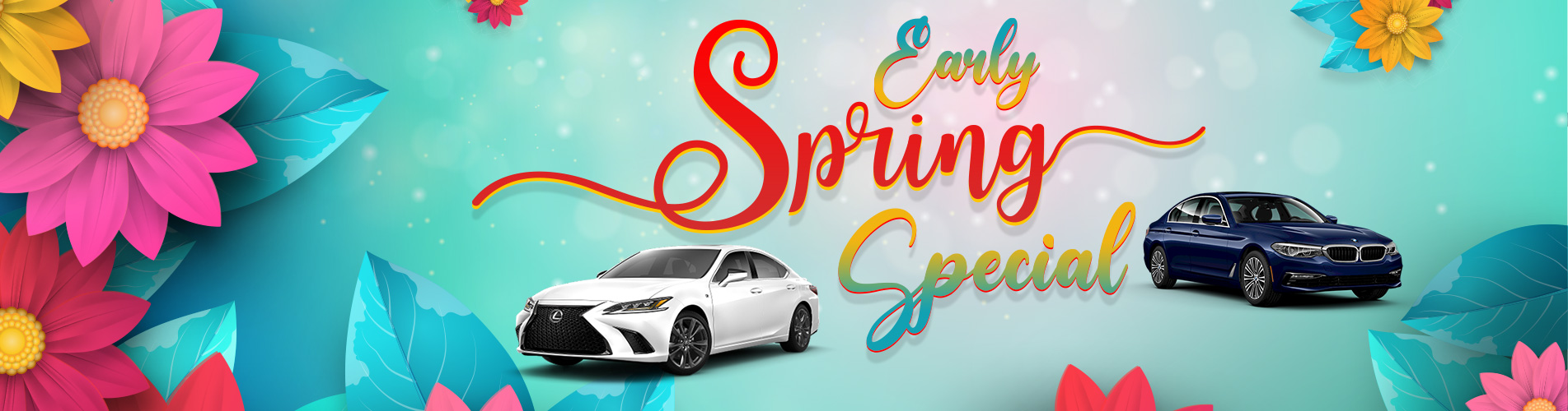 Early Spring Special