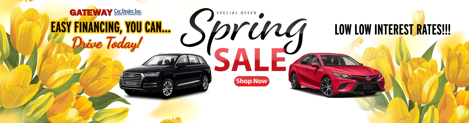 Spring Sale